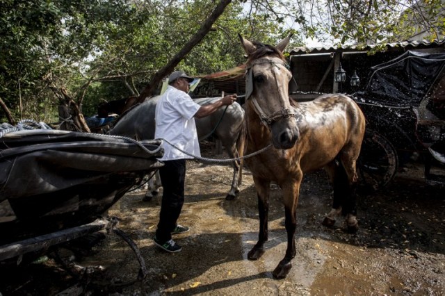 COLOMBIA-CARTAGENA-TOURISM-HORSE