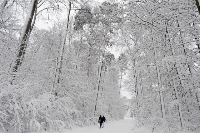 NEVADA EN EL MUNDO (16)