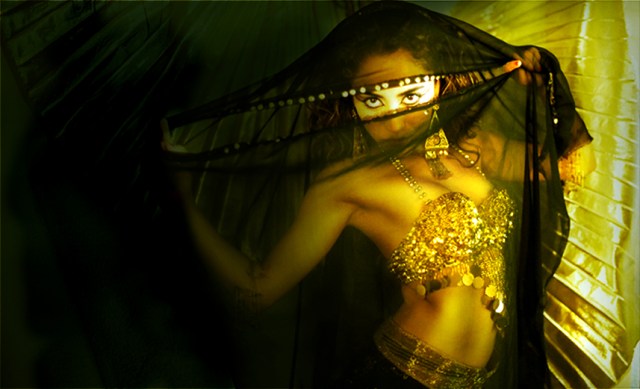 Belly_Dancer_by_smc_art