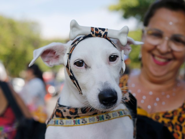 BRASIL-CARNAVAL-MASCOTAS