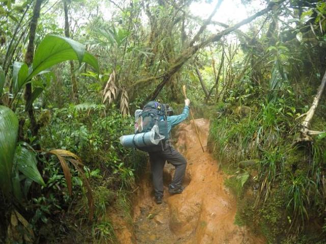 Fue una escalada difícil / Foto W. Hatton