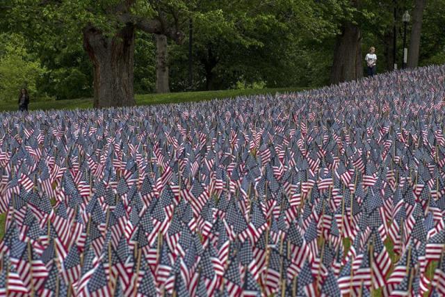 Un voluntario (d) camina junto a las 37.000 banderas estadounidenses en el parque público de Boston Common, Boston, Massachussets, Estados Unidos, hoy 21 de mayo de 2015. Cada bandera representa a cada uno de los caídos en la guerra de Independencia (1775-1783) contra los británicos. EFE/Cj Gunther