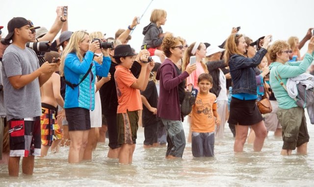 surf expectadores