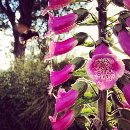 Esta foto Instagram ganó un premio británico