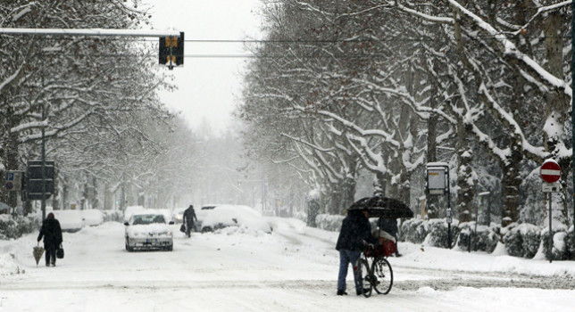 Ola polar hará caer las temperaturas en Siberia hasta 50 grados bajo cero