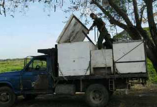 GN decomisó 4000 kilos de pescado en Apure