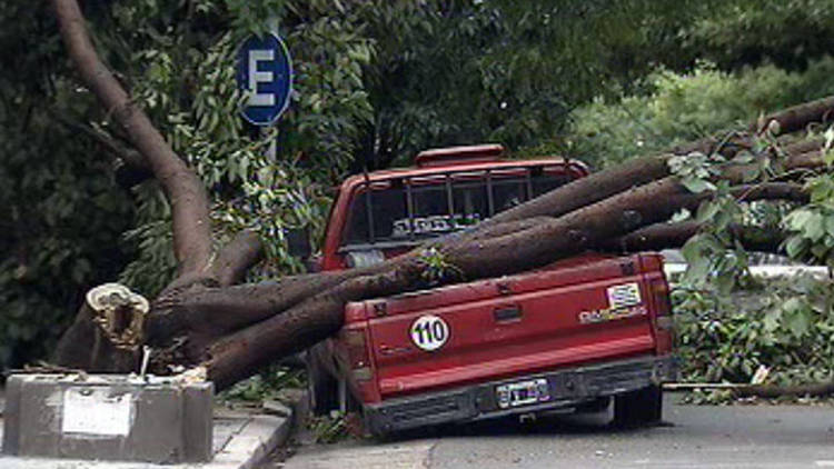 Vientos de hasta 80 kilómetros dejan destrozos en Argentina (Videos y Foto)