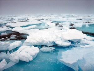 ONU advierte que el hielo del Ártico se ha derretido a ritmo récord en 2012