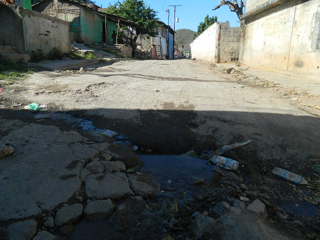 En el municipio Sotillo de Puerto La Cruz las moscas hacen fiestas con la basura