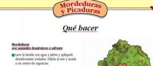 ¿Qué hacer en caso de mordeduras o picaduras de animales? (INFOGRAFÍA)