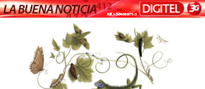 Maria Sibylla Merian hace florecer Google con un doodle