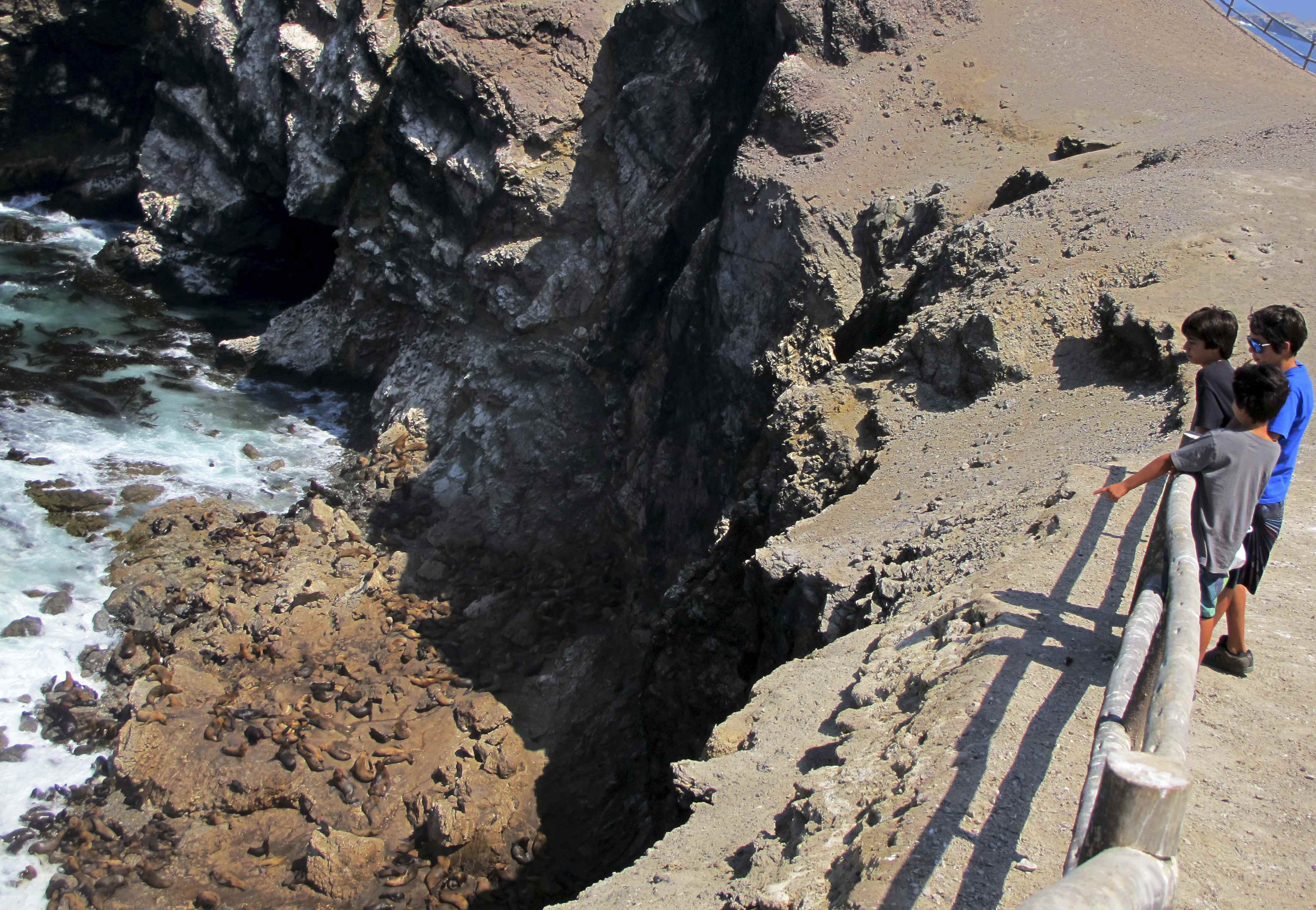 Al menos trece muertos deja caída de autobús a un abismo en sur de Perú