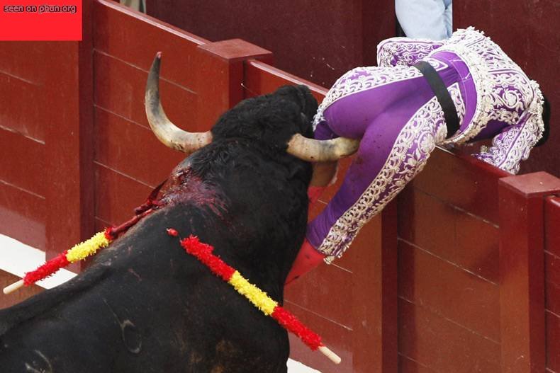 Al torero con cariño… ¡lleve!