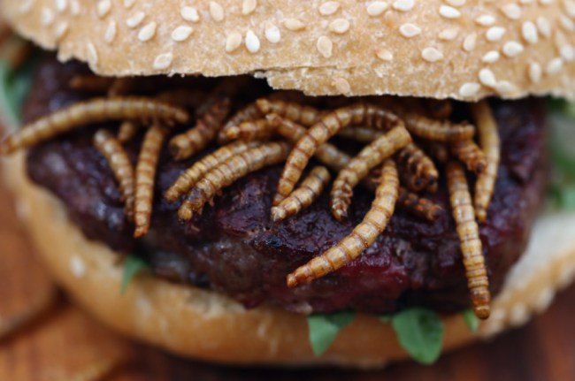 La comida más bizarra la tienen en Londres en el “Pestaurant” (Fotos)