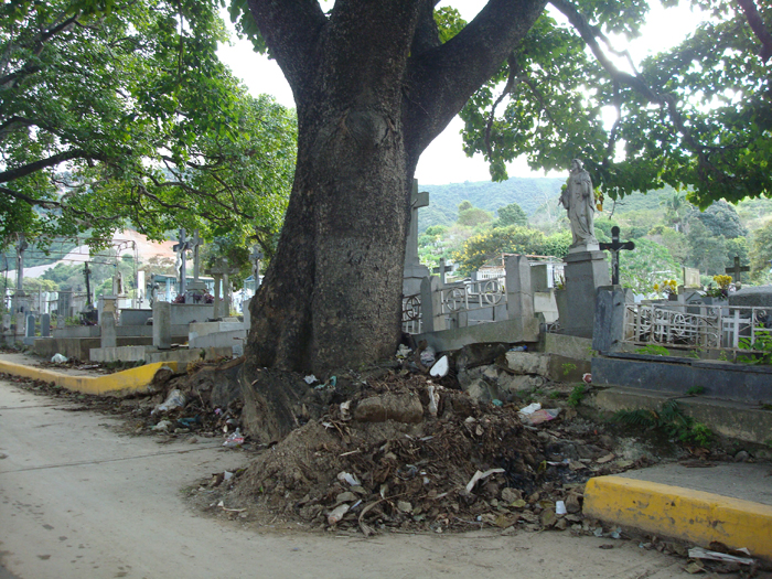 Policaracas patrullará en Cementerio del Sur por el Día de los Difuntos