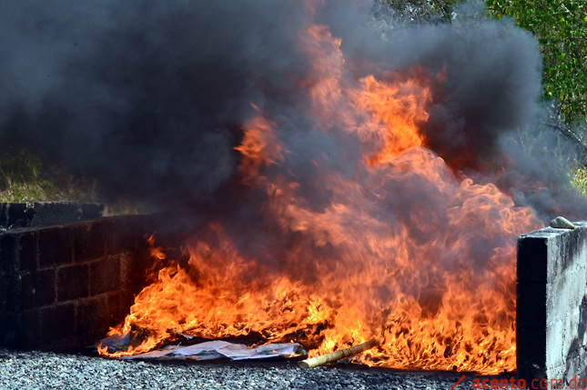 En Aragua se han hecho 1500 procesos de incineración de drogas