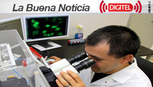 La inmunoterapia contra el cáncer, elegida como “avance científico del año”