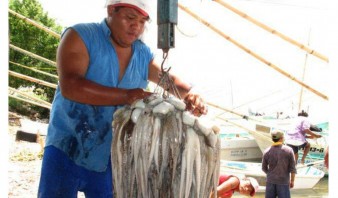 Entra en vigencia prohibición de pesca de pulpo