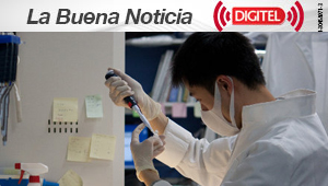 Hallan biomarcador que predice la supervivencia en pacientes con cáncer renal