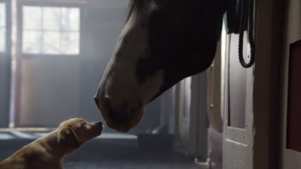 La publicidad más tierna del Super Bowl (Awww)