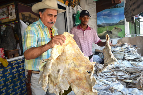 El kilo de chigüire podría costar un millón y medio de bolívares en Aragua