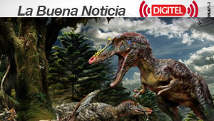 “Pinocho rex”, un nuevo tiranosaurio de nariz alargada descubierto en China