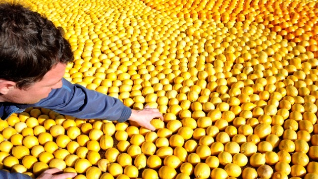 El que quiera frutas tendrá que imprimirlas en 3D