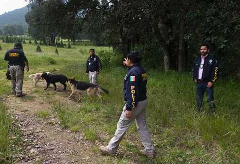 Descubren 11 cadáveres de fosa clandestina en México
