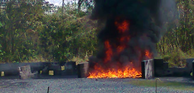 Incinerados más de 244 kilos de drogas en Apure