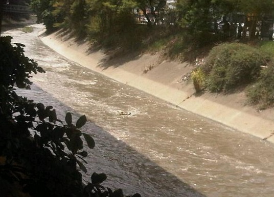 Rio Guaire_Cadaver