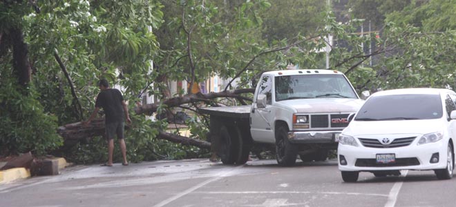 Fuerte aguacero en Maracaibo deja casas sin techos y árboles caídos