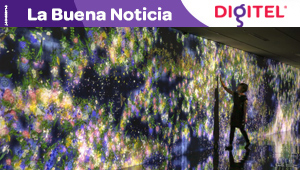 Crean un jardín digital de flores infinitas