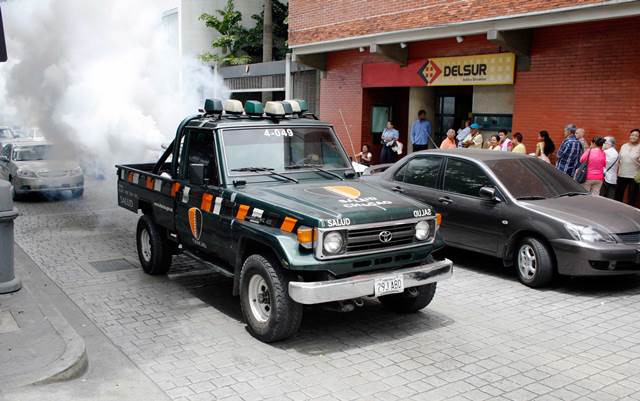 Reportan ocho casos sospechosos de dengue y 14 de chikungunya en Chacao