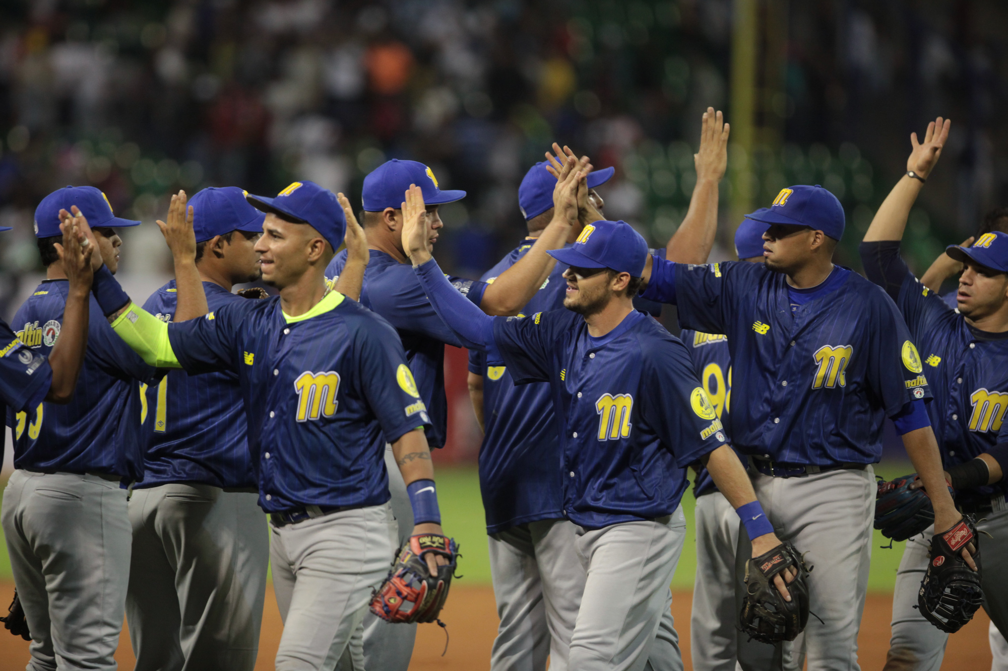 Magallanes derrotó con autoridad al Caracas en el Parque de la Ciudad Universitaria