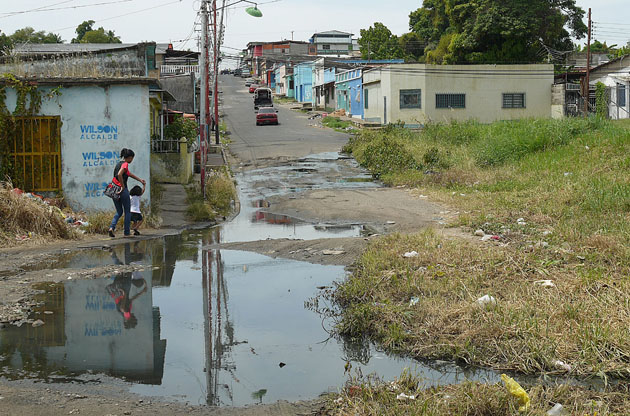 Brote de dengue alarma a comunidad en Caroní