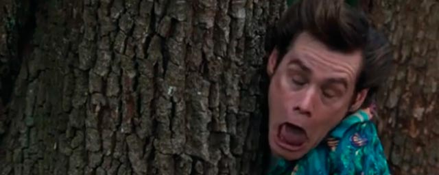 Daryl Dixon Vs. Ace Ventura… ¿Quién gana? (Video)