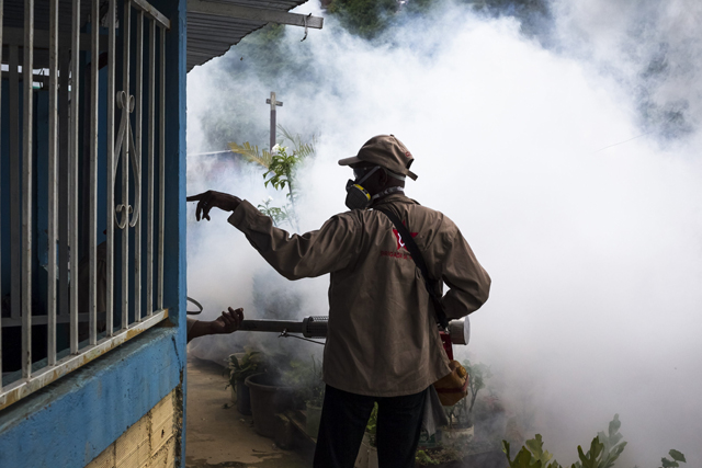 VENEZUELA SE VUELCA EN LUCHA CONTRA EL DENGUE Y EL CHIKUNGUÑA