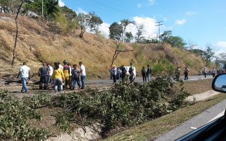 Tránsito detenido en la ARC por árbol caído (Fotos)