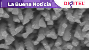 Desarrollan nanoestructuras de titanio antibacterianas para implantes óseos