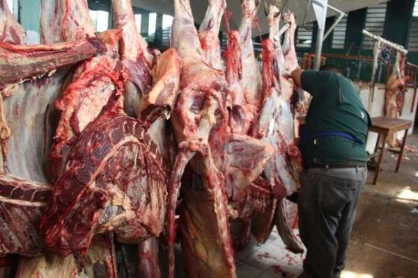 Tres veces a la semana varía precio de la carne en Maturín