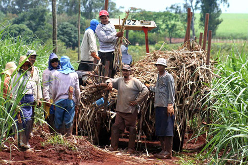 Se paraliza sector azucarero del país por falta de mantenimiento a las maquinarias