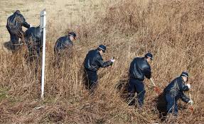 Detienen a tres adolescentes por horrible asesinato de un niño de 13 años en Japón