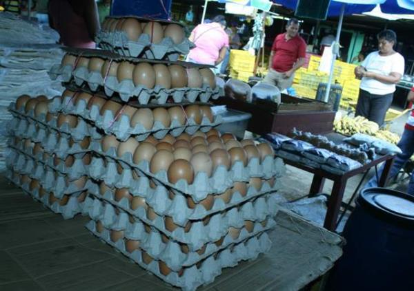Avicultores de Táchira ven complicada venta de cartones de huevos en 420 bolívares