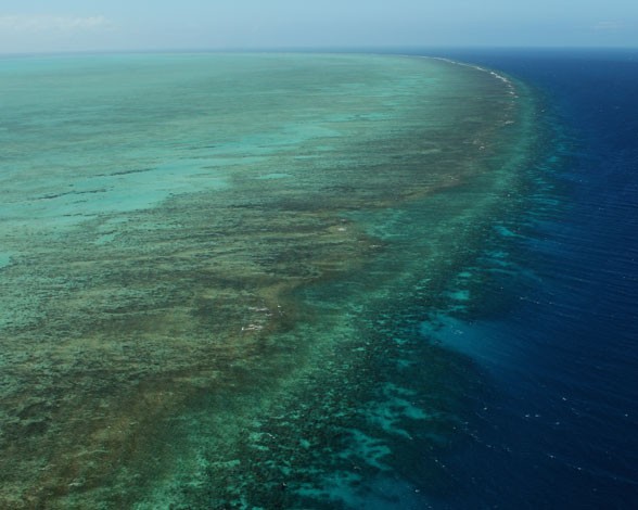 La Gran Barrera de Coral: El mayor arrecife de coral del mundo, situado en la costa australiana, perdió en menos de tres décadas la mitad de su población. Sin duda es uno de los lugares más bellos del planeta, pero de seguir esta tendencia no quedará ni rastro en pocos años. Las causas de esta devastación fueron según los expertos el aumento de las temperaturas, las tormentas tropicales (cada vez más fuertes) y la inclusión de una especie de estrella de mar invasora, que se alimenta de coral. Todo esto y más, como la acidificación de los océanos son los restos que tiene que superar este ecosistema para recuperarse.