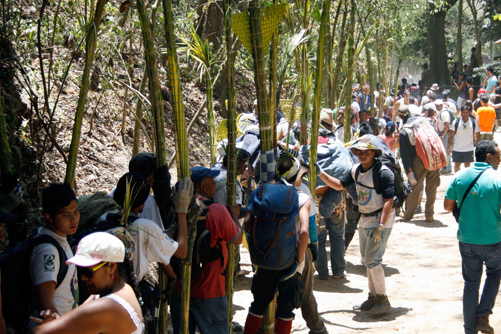 Bajaron los Palmeros de Chacao para darle comienzo a la Semana Santa (fotos)