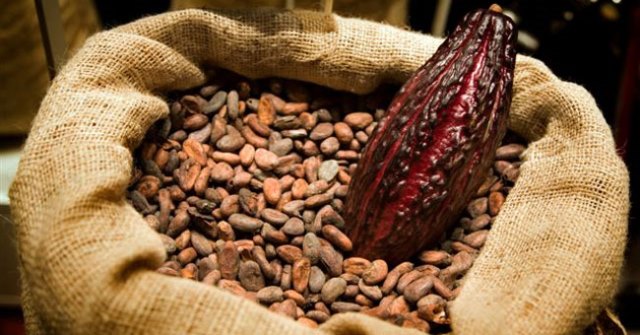 Gobierno frena las exportaciones de cacao y pone en alerta a chocolateros en Suiza y Japón