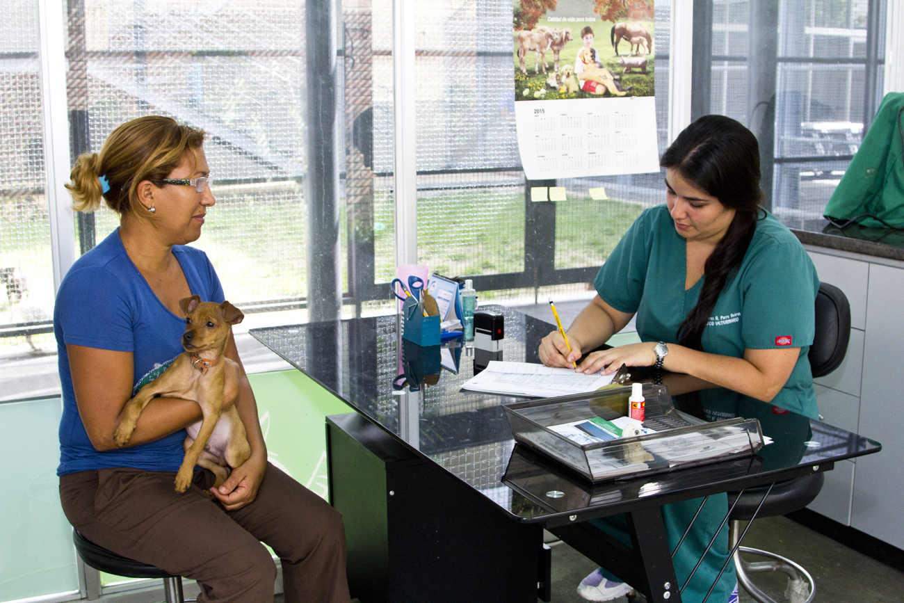 En Baruta puedes adoptar tu mascota de forma segura y sencilla