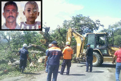 FALLECIDOS-CAIDA-ARBOL-230715-N