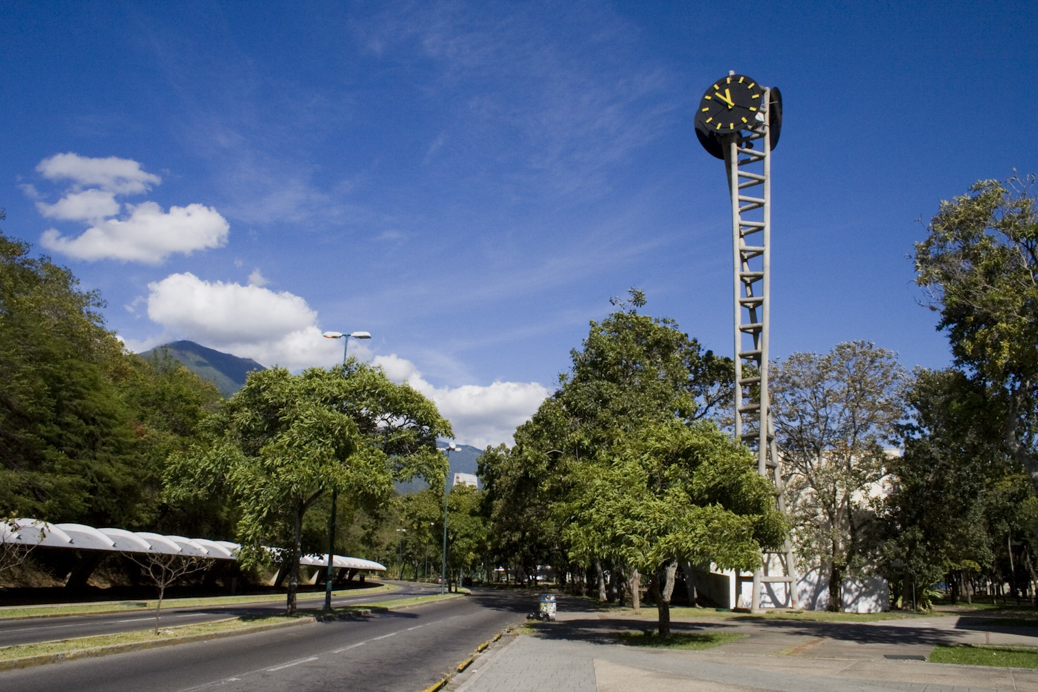 TSJ: Universidades deben cumplir lineamientos de la Opsu para registro e inscripción de estudiantes