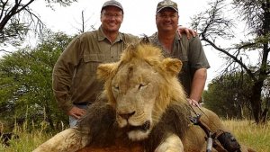 Así trata de defenderse el dentista que mató al león más famoso de Zimbabwe